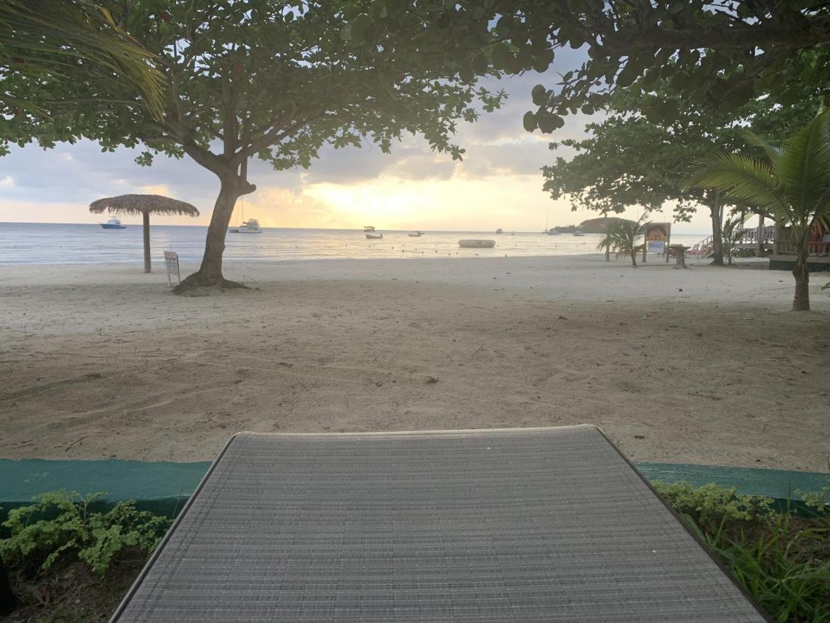 King Suite At Oceanview Resort In Jamaica - Enjoy 7 Miles Of White Sand Beach! Negril Buitenkant foto